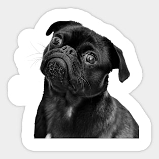 dog Sticker